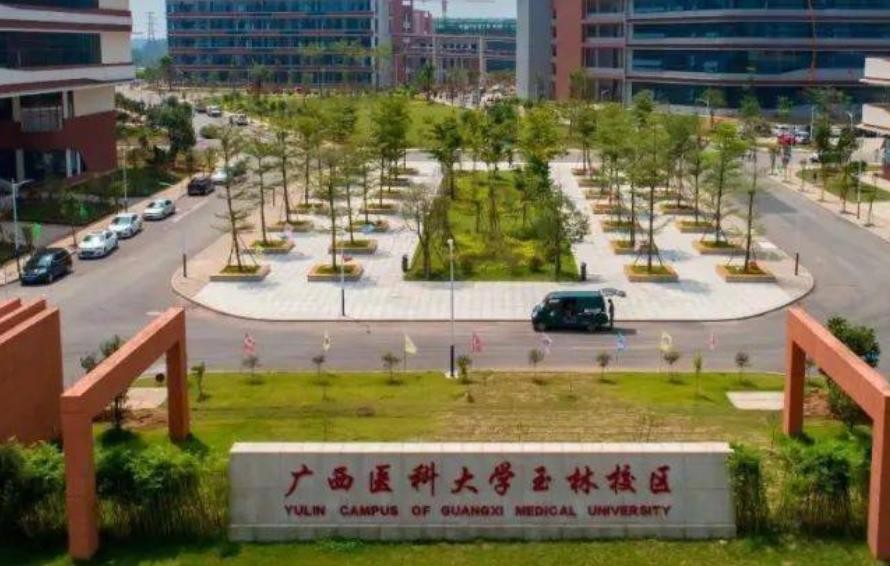 广西医科大学面积多大