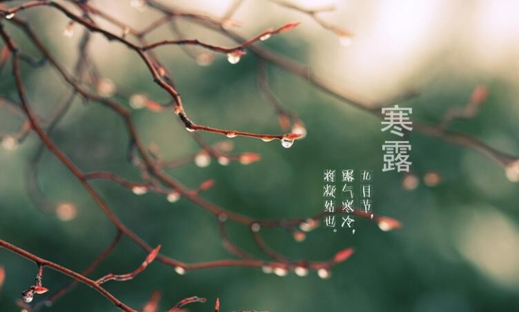 寒露生活中要注意什么