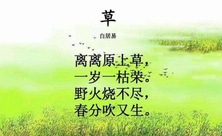 离离原上草出自哪首诗