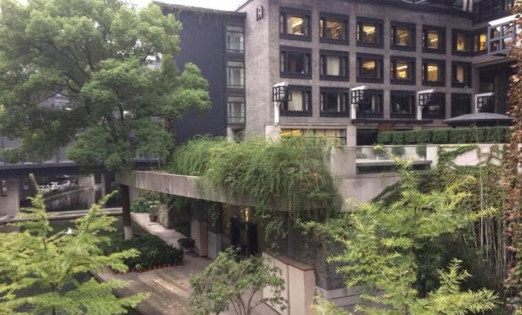 国美是哪个大学