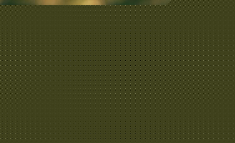 《蹇材望伪态》文言文的翻译是什么