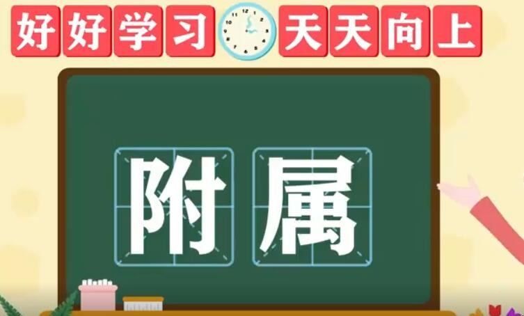 附属是什么意思