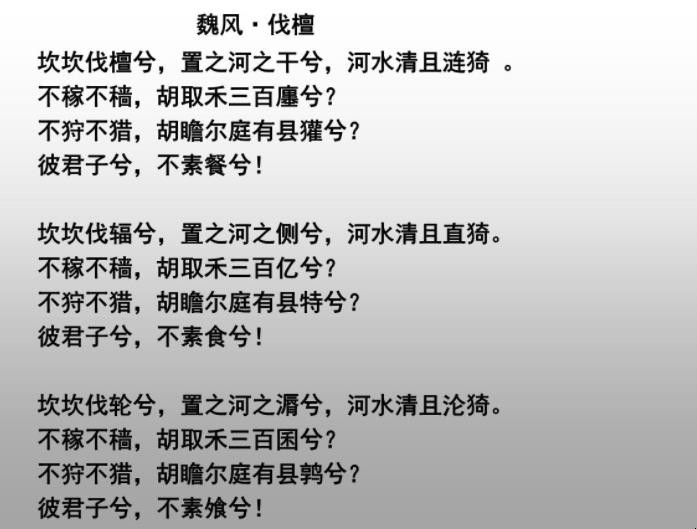 坎坎伐檀兮下一句是什么