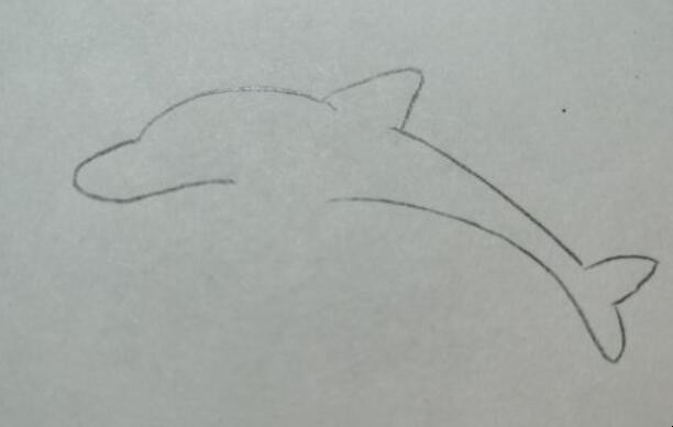 海豚简笔画怎么画
