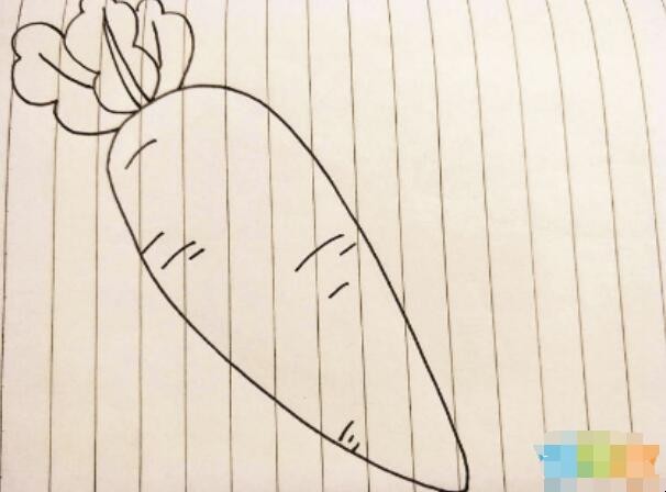 胡萝卜怎么画