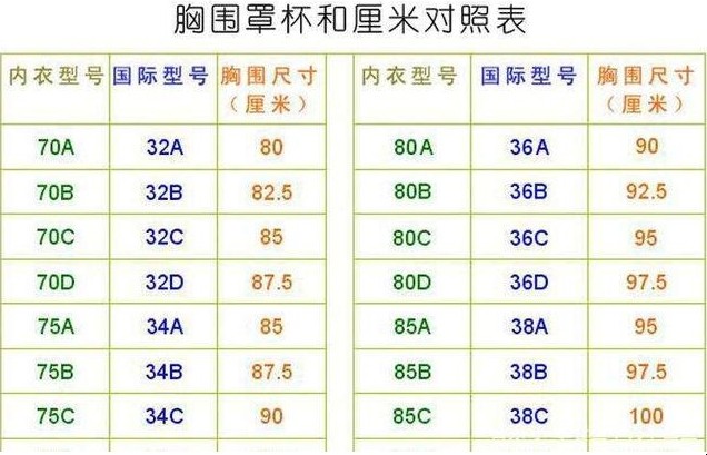 怎么选购文胸和确定尺码