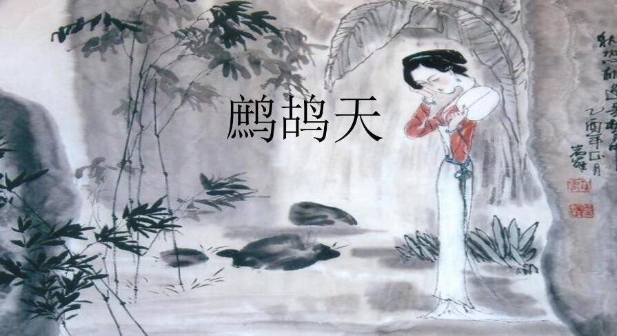 鹧鸪天是什么意思