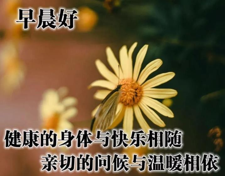 关心的话语有哪些