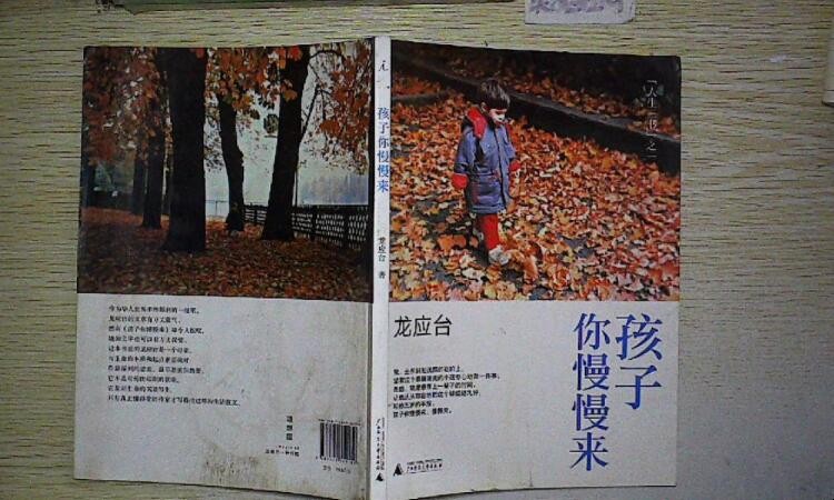 《孩子你慢慢来》读后感怎么写