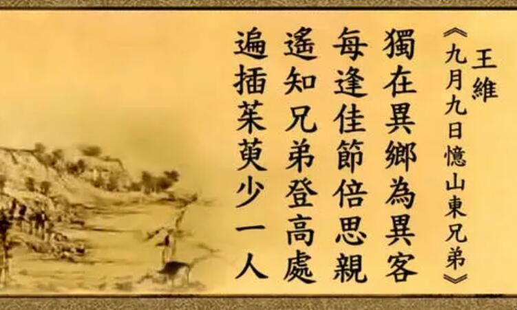 遍插茱萸少一人全诗是什么节日