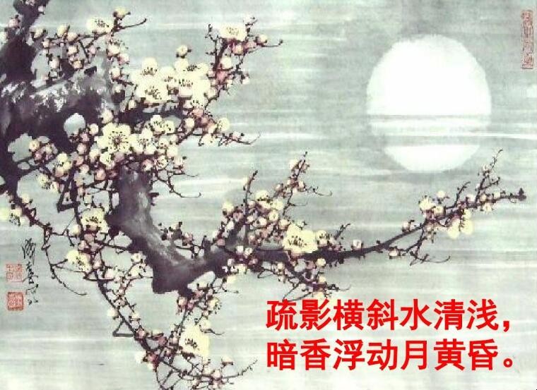 疏影横斜水清浅暗香浮动月黄昏是什么意思