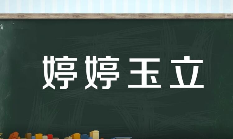 婷婷玉立是什么意思