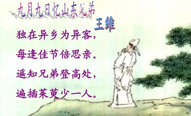 独在异乡为异客的异是什么意思
