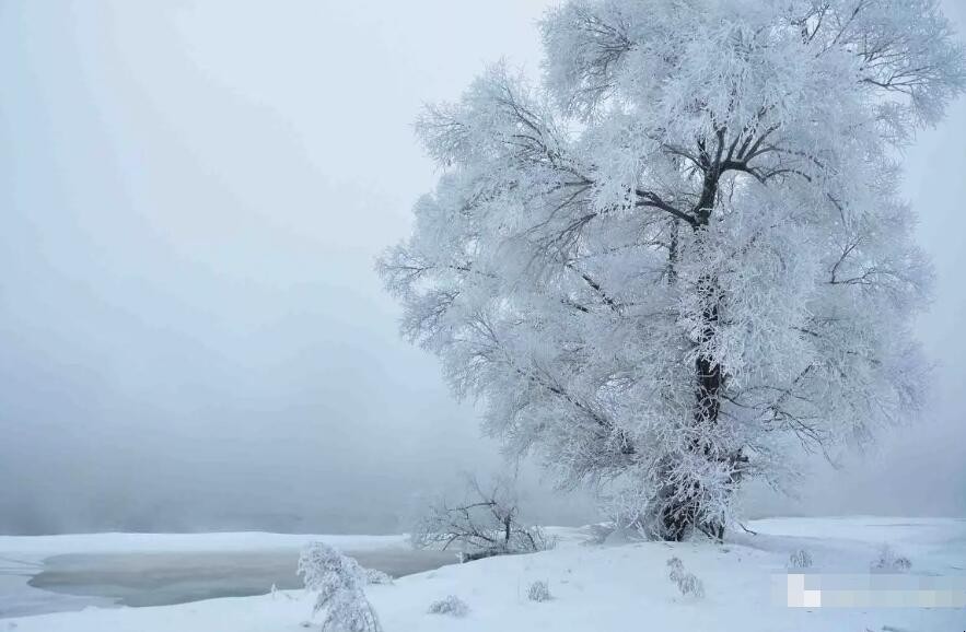 冬雪雪冬小大寒是什么意思