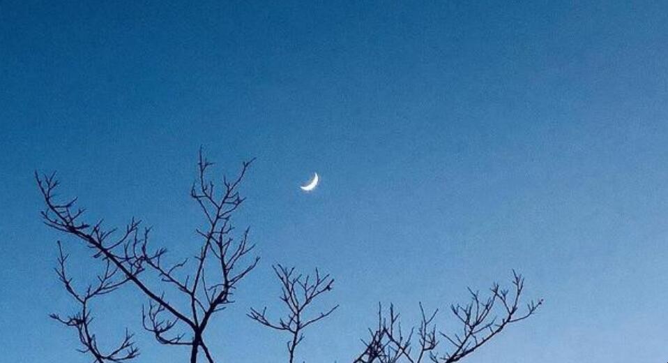 上弦月是农历初几