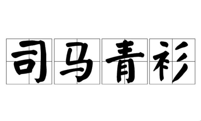 司马青衫成语故事是什么