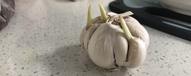 怎样大量储存大蒜 如何大量储存大蒜