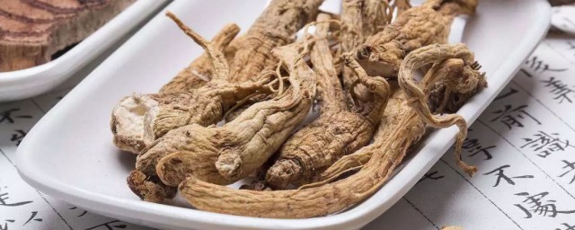 当归配什么不上火 当归不上火配方