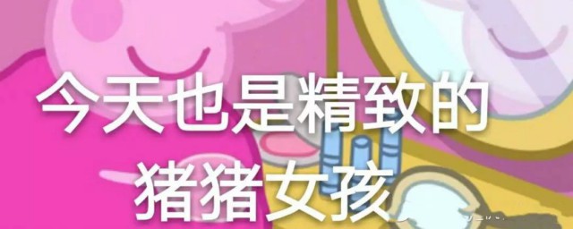 网络流行语精致的猪猪女孩 网络流行语精致的猪猪女孩的意思是什么
