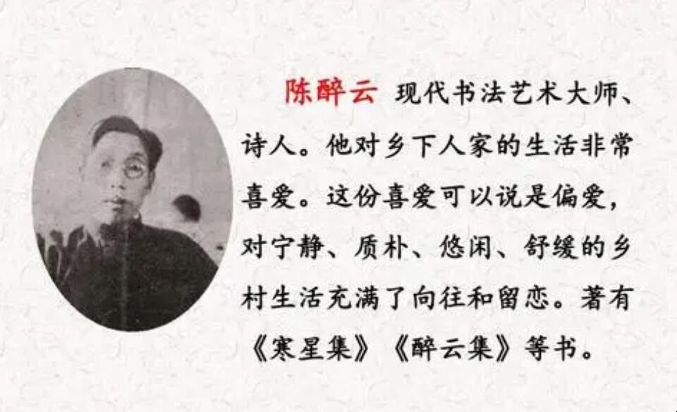 陈醉云个人介绍是什么