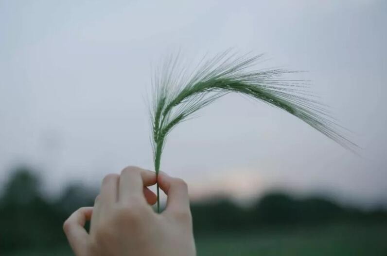 胡思乱想的意思是什么