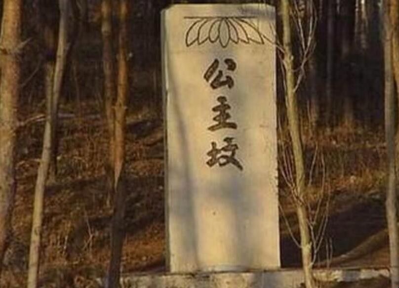 北京公主坟是哪位公主的