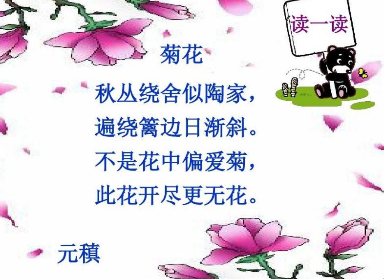 《菊花》创作背景是什么