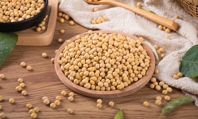 含钾高的食物有哪些