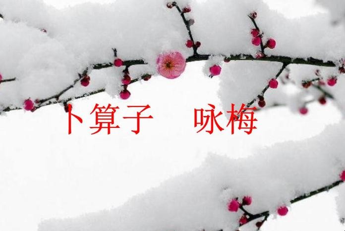 《卜算子·咏梅》表达了什么情感