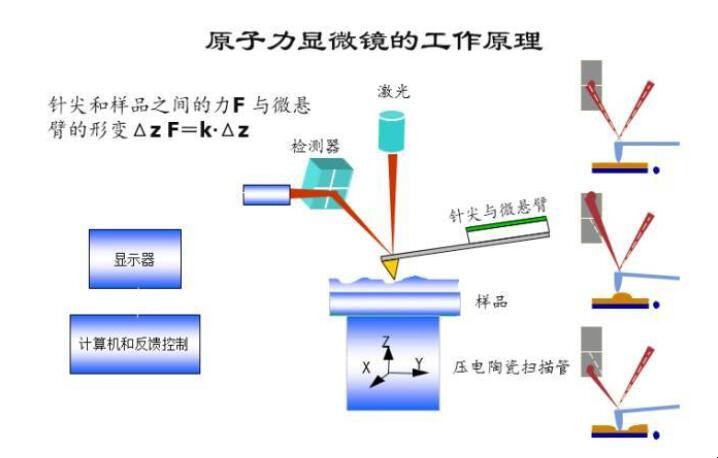 显微镜的工作原理是什么