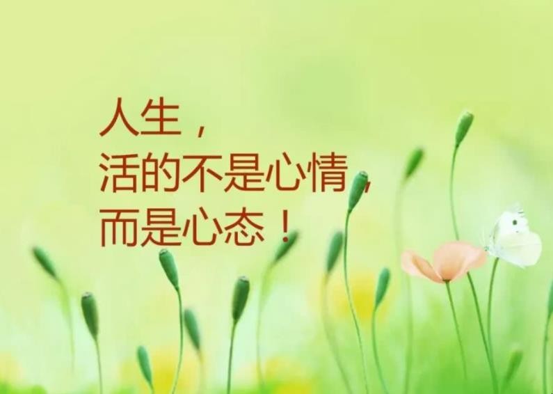 激励的话语有哪些