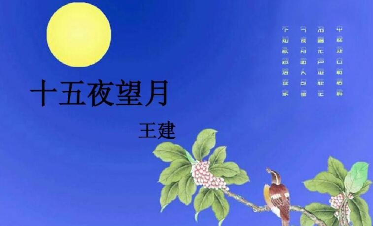 《十五夜望月寄杜郎中》的翻译是什么