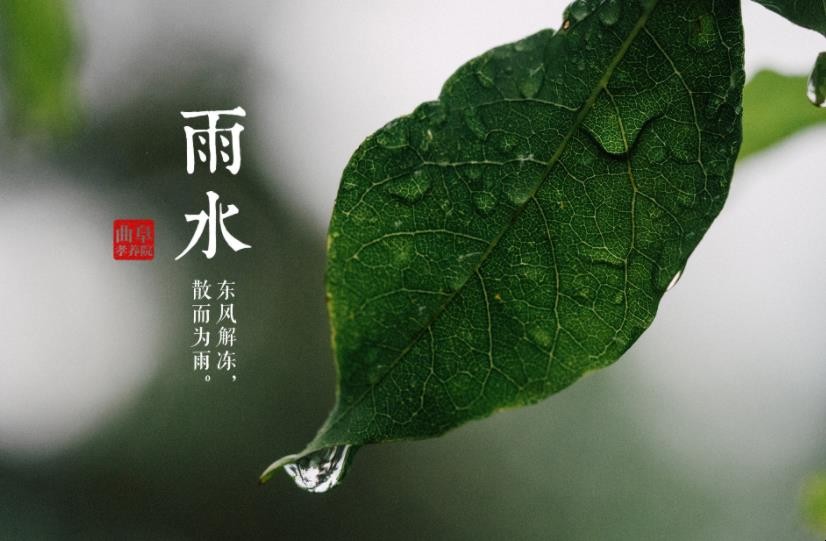 雨水节气的习俗有哪些