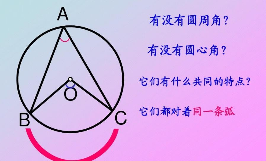 圆心角和圆周角二者的关系是什么