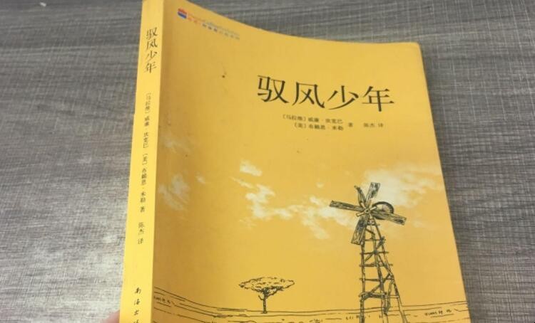 《驭风少年》读后感怎么写