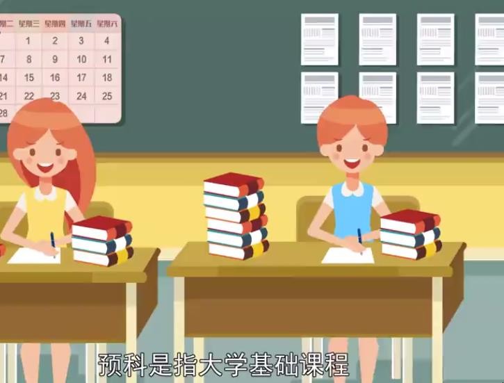 预科是什么意思