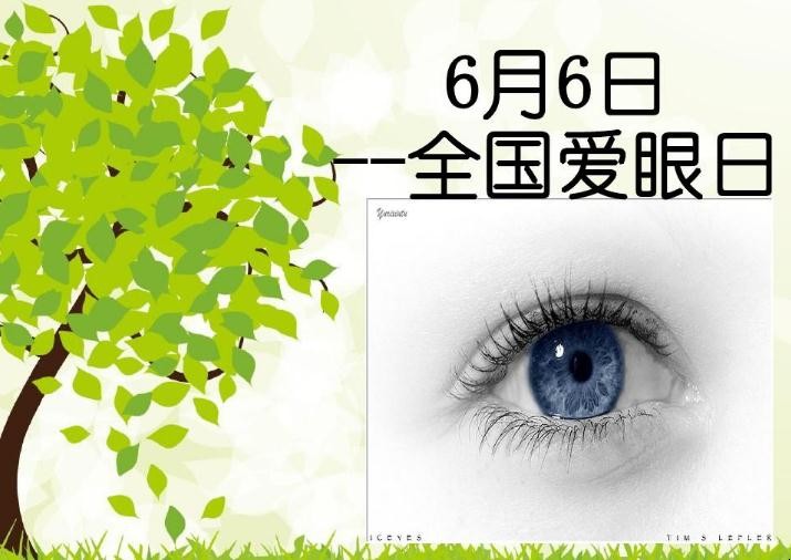 全国爱眼日节日口号有哪些