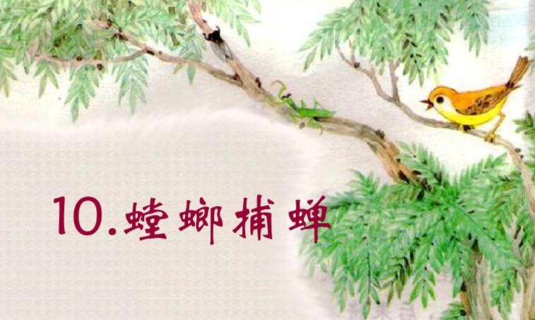 螳螂捕蝉是什么意思