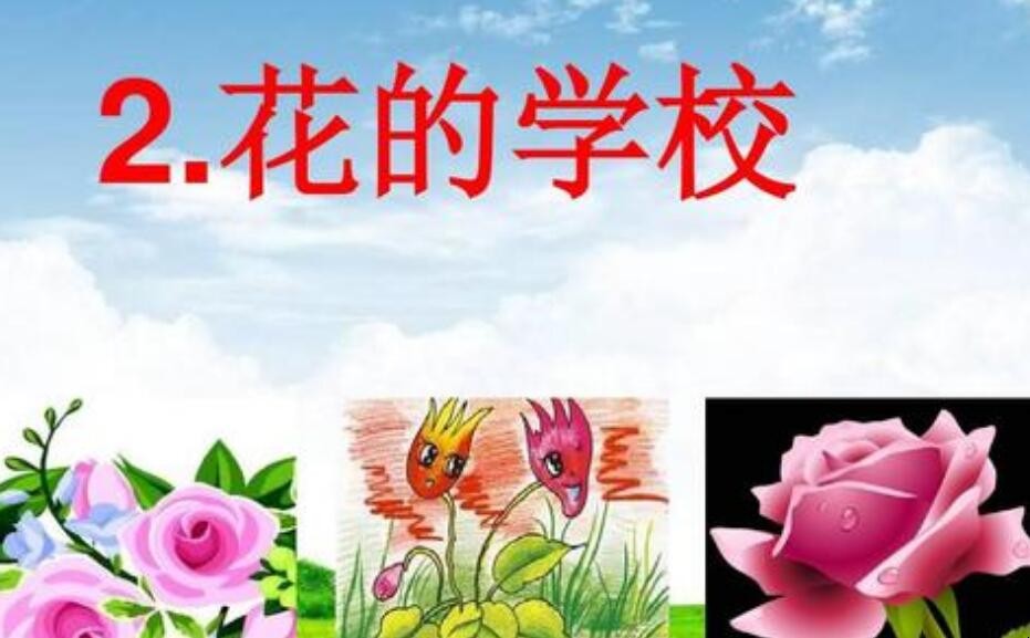 《花的学校》向我们展示了花儿的什么和什么