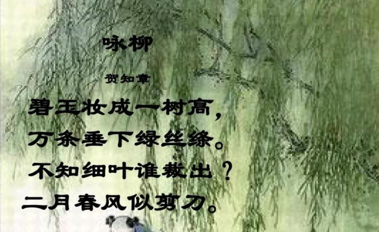 不知细叶谁裁出下一句是什么