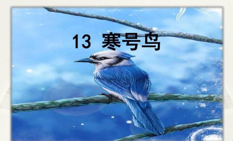 《寒号鸟》的故事告诉我们什么道理