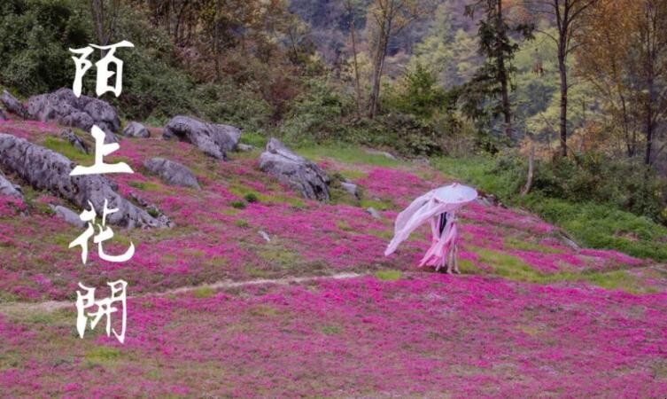 陌上花开什么意思
