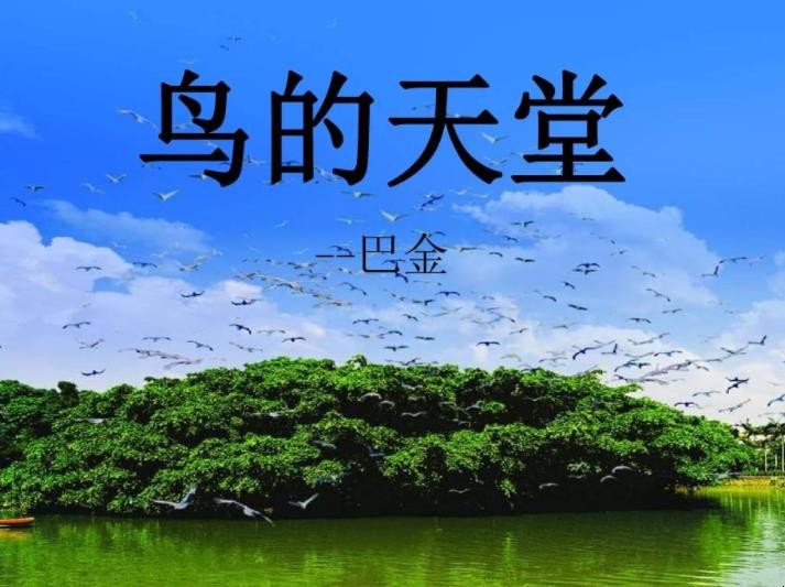 《鸟的天堂》创作背景是什么
