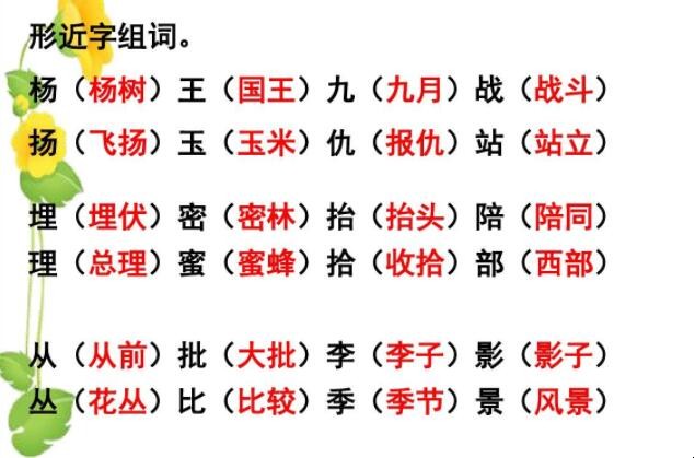 杨字组词有哪些