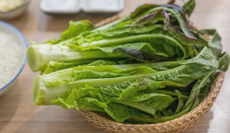 油麦菜和莴笋叶的区别是什么