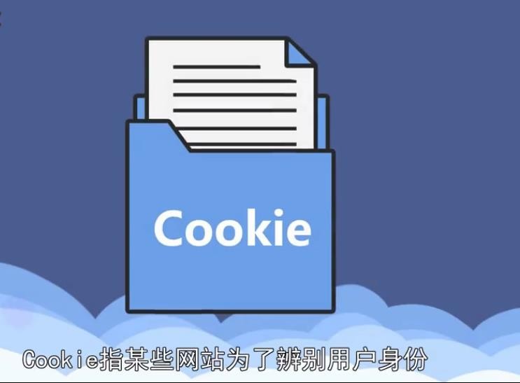 cookies是什么意思