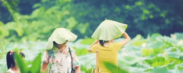 初伏到了怎么防暑 初伏到了如何防暑