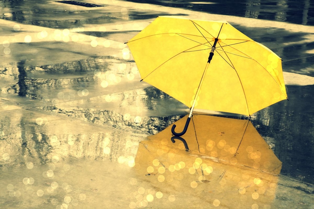 下雨的优美段落摘抄有哪些
