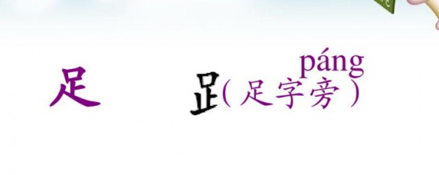 足字旁跟什么有关 带足字旁的字多与什么有关