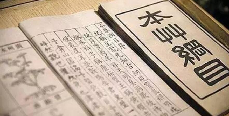 《本草纲目》创作于哪个朝代
